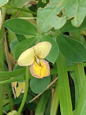 photo of Dragon's Teeth