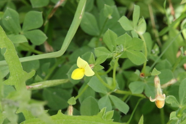 photo of Dragon's Teeth