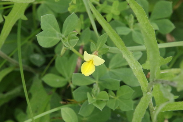 photo of Dragon's Teeth